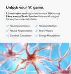 Mind Lab Pro® v4
